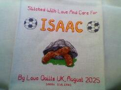 Cross stitch square for Isaac B's quilt