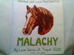 Cross stitch square for Malachy's quilt