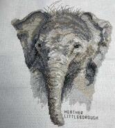 Cross stitch square for Tommy W's quilt