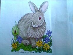 Cross stitch square for Tommy W's quilt