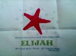 Cross stitch square for Elijah's quilt