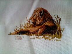 Cross stitch square for Bowen B's quilt