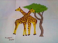 Cross stitch square for Arlo T's quilt