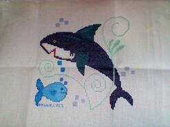 Cross stitch square for Brody W's quilt