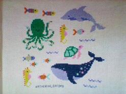 Cross stitch square for Brody W's quilt
