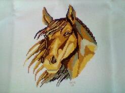 Cross stitch square for Shaylene B's quilt