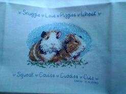 Cross stitch square for Ivy S's quilt