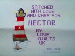 Cross stitch square for Hector's quilt