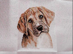 Cross stitch square for Aidan T's quilt