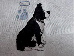 Cross stitch square for Aidan T's quilt