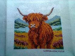 Cross stitch square for Joshua C's quilt