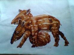 Cross stitch square for Faris H's quilt