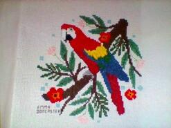 Cross stitch square for Jayden H's quilt