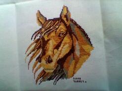 Cross stitch square for Araya N's quilt