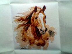 Cross stitch square for Araya N's quilt