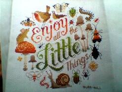 Cross stitch square for Aurora W's quilt