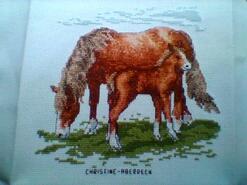 Cross stitch square for Donnie J's quilt