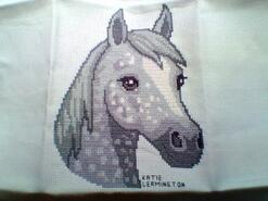 Cross stitch square for Donnie J's quilt