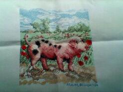 Cross stitch square