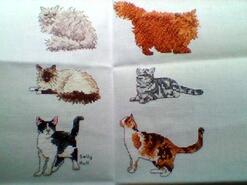 Cross stitch square for Dexter B's quilt