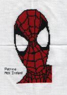 Cross stitch square for Joe B's quilt