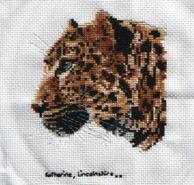 Cross stitch square for Alan S's quilt
