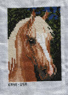 Cross stitch square for Elizabeth A's quilt