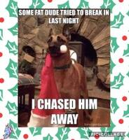 Photo of Santa