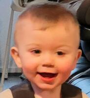 Photo of Zander