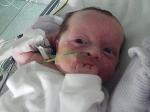 Photo of Freya P