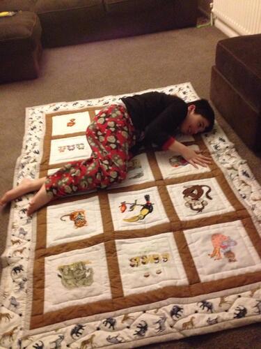 Photo of Luke Bs quilt