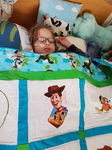 Photo of Lewis Ts quilt