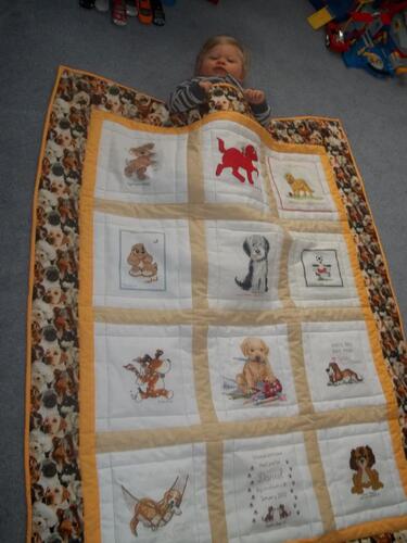 Photo of Daniel Cs quilt