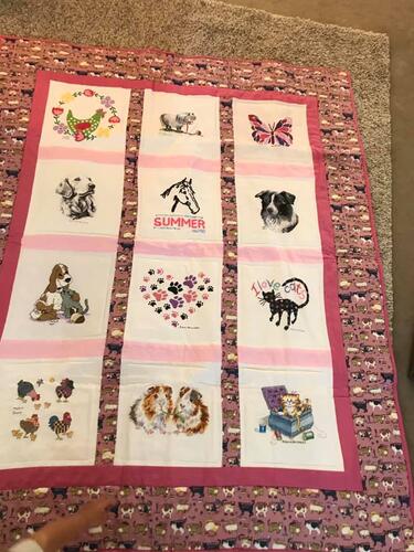 Photo of Summer Ls quilt