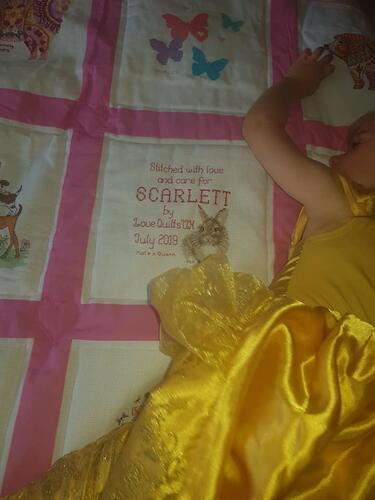 Photo of Scarlett Cs quilt