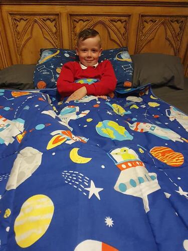 Photo of Harley Ws quilt