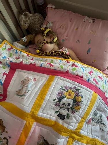 Photo of Sophia Ns quilt