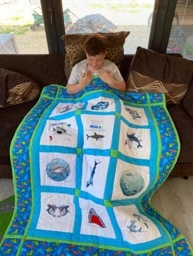 Photo of Niall Bs quilt