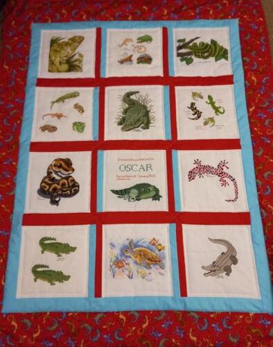Photo of Oscar Bs quilt