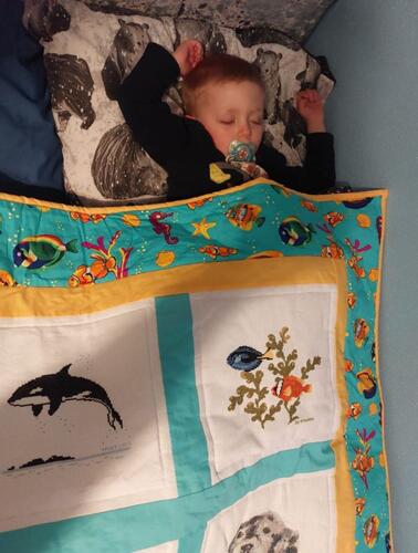 Photo of Zayns quilt