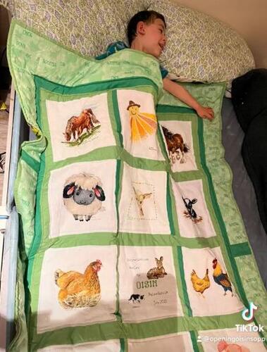 Photo of Oisin Ts quilt