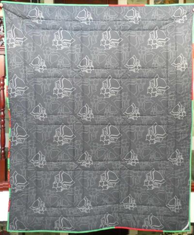 Photo of Joshua Hs quilt