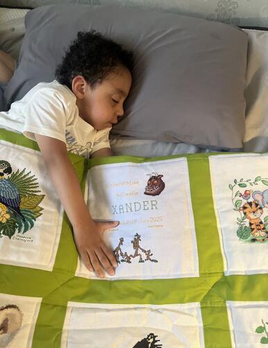Photo of Xander Bs quilt