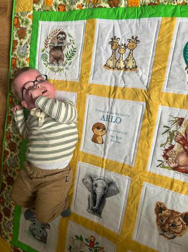 Photo of Arlo Ts quilt