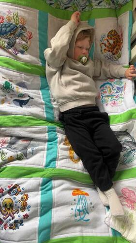 Photo of Brody Ws quilt
