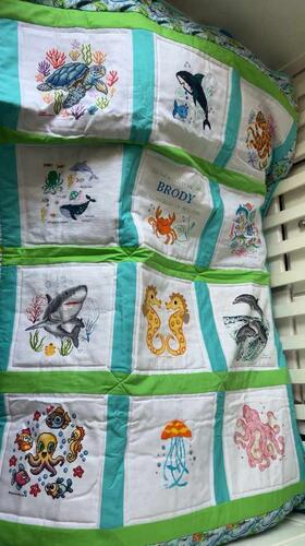 Photo of Brody Ws quilt