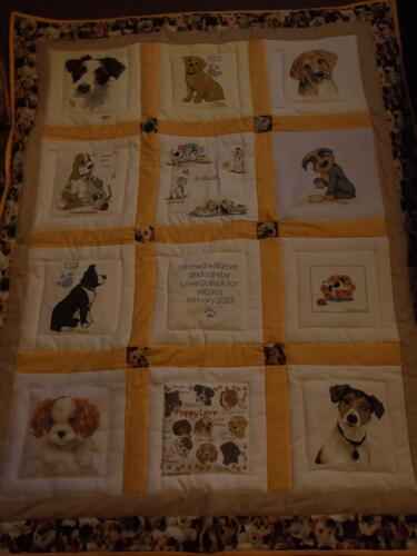 Photo of Aidan Ts quilt