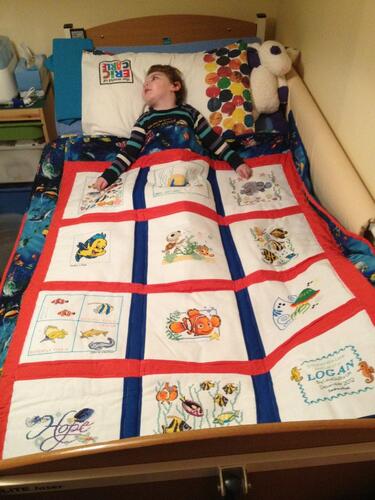 Photo of Logan Cs quilt