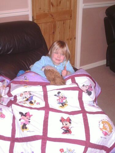 Photo of Amber-Roses quilt