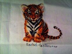 Cross stitch square for Luke B's quilt